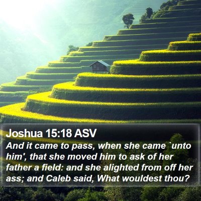 Joshua 15:18 ASV Bible Verse Image