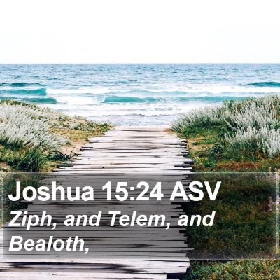 Joshua 15:24 ASV Bible Verse Image