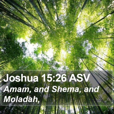 Joshua 15:26 ASV Bible Verse Image