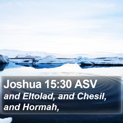 Joshua 15:30 ASV Bible Verse Image