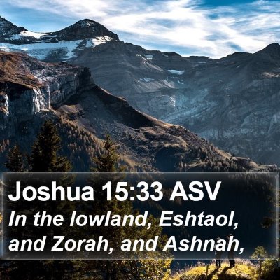 Joshua 15:33 ASV Bible Verse Image