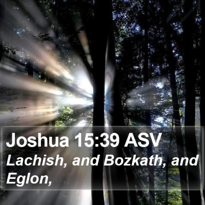 Joshua 15:39 ASV Bible Verse Image