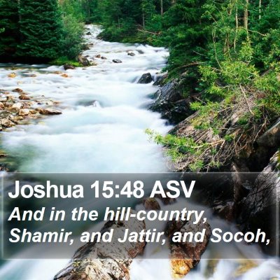 Joshua 15:48 ASV Bible Verse Image