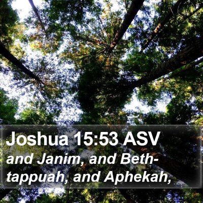 Joshua 15:53 ASV Bible Verse Image