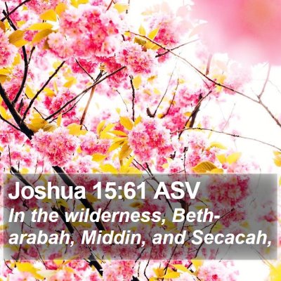 Joshua 15:61 ASV Bible Verse Image