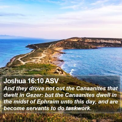 Joshua 16:10 ASV Bible Verse Image