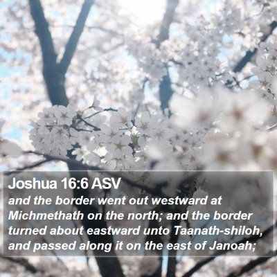 Joshua 16:6 ASV Bible Verse Image