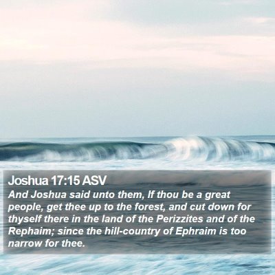Joshua 17:15 ASV Bible Verse Image