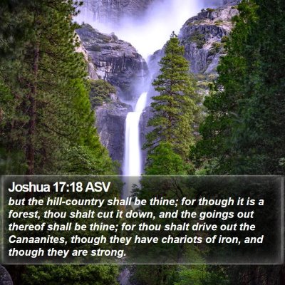 Joshua 17:18 ASV Bible Verse Image