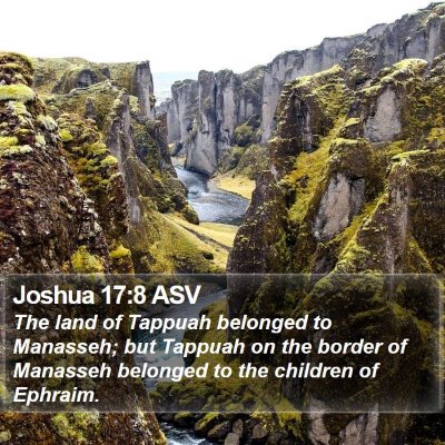 Joshua 17:8 ASV Bible Verse Image
