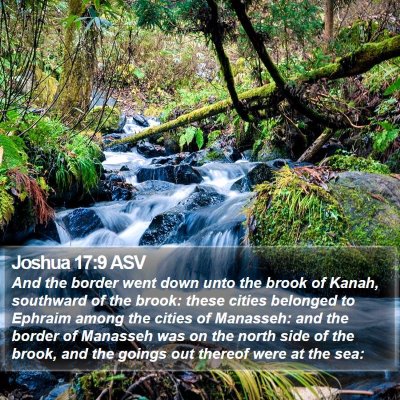 Joshua 17:9 ASV Bible Verse Image
