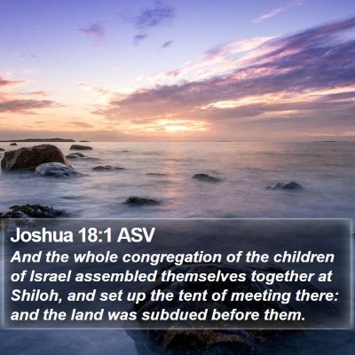 Joshua 18:1 ASV Bible Verse Image