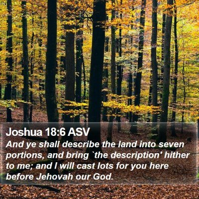 Joshua 18:6 ASV Bible Verse Image