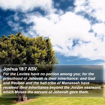 Joshua 18:7 ASV Bible Verse Image