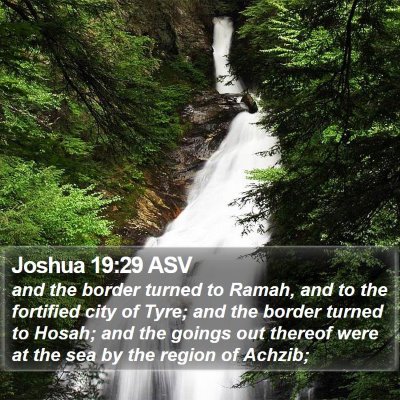 Joshua 19:29 ASV Bible Verse Image