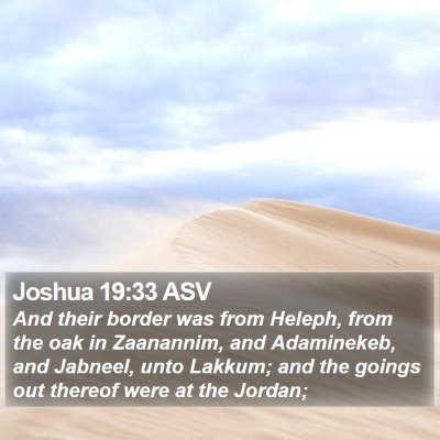 Joshua 19:33 ASV Bible Verse Image