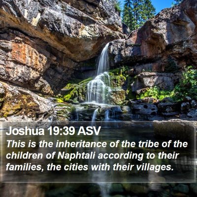 Joshua 19:39 ASV Bible Verse Image