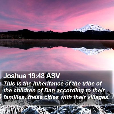 Joshua 19:48 ASV Bible Verse Image