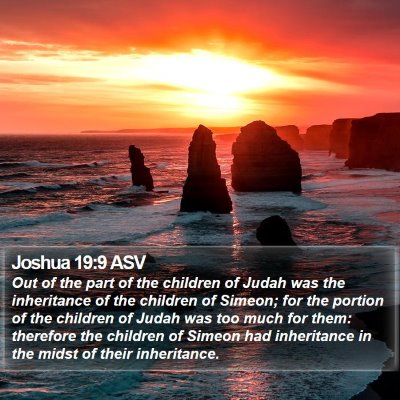 Joshua 19:9 ASV Bible Verse Image