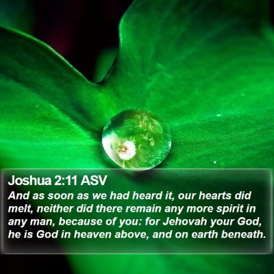 Joshua 2:11 ASV Bible Verse Image
