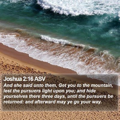 Joshua 2:16 ASV Bible Verse Image