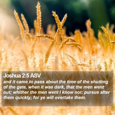 Joshua 2:5 ASV Bible Verse Image