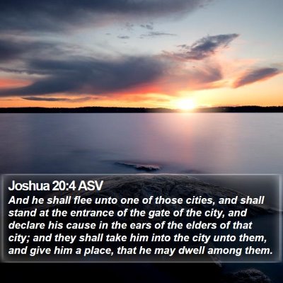 Joshua 20:4 ASV Bible Verse Image