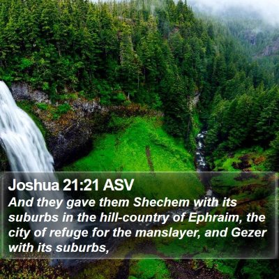 Joshua 21:21 ASV Bible Verse Image