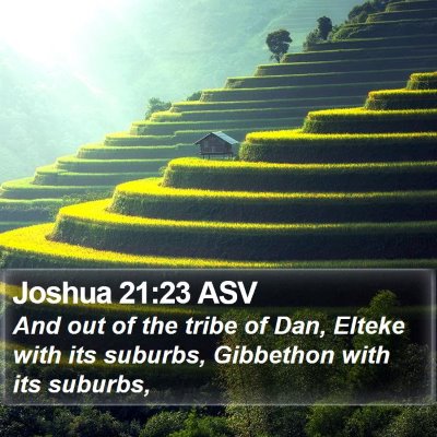 Joshua 21:23 ASV Bible Verse Image