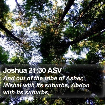 Joshua 21:30 ASV Bible Verse Image