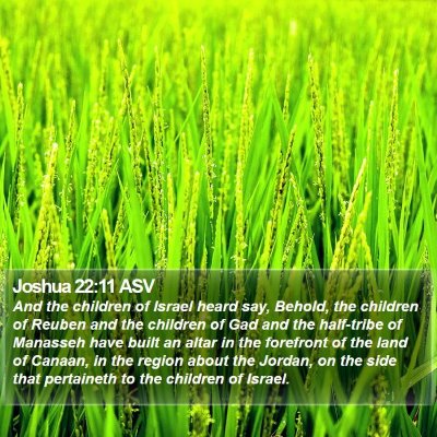 Joshua 22:11 ASV Bible Verse Image