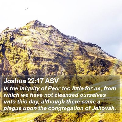 Joshua 22:17 ASV Bible Verse Image