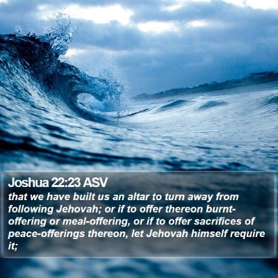 Joshua 22:23 ASV Bible Verse Image