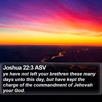 Joshua 22:3 ASV Bible Verse Image