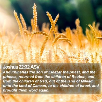 Joshua 22:32 ASV Bible Verse Image