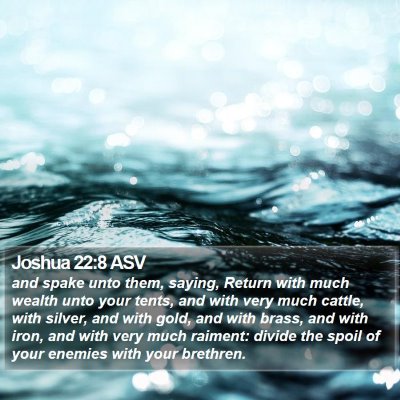 Joshua 22:8 ASV Bible Verse Image