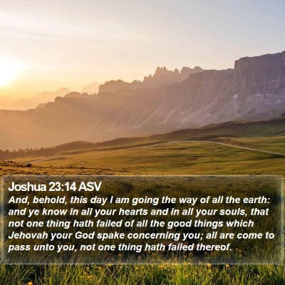 Joshua 23:14 ASV Bible Verse Image