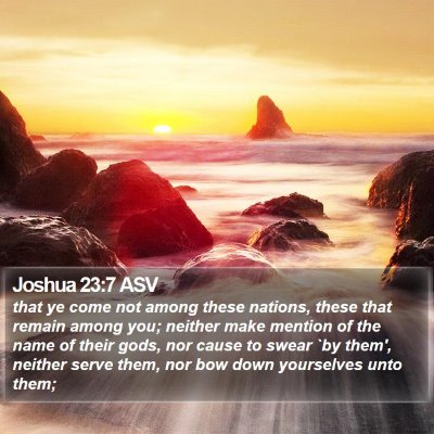 Joshua 23:7 ASV Bible Verse Image