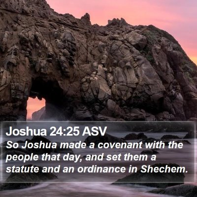 Joshua 24:25 ASV Bible Verse Image