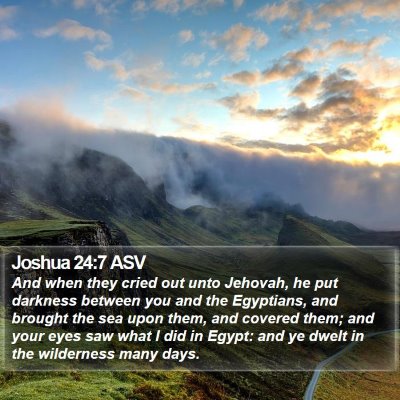Joshua 24:7 ASV Bible Verse Image