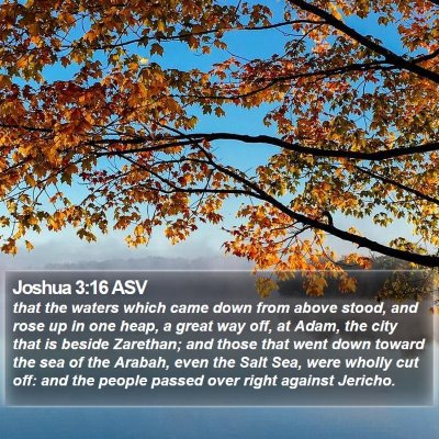 Joshua 3:16 ASV Bible Verse Image