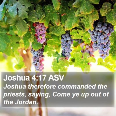 Joshua 4:17 ASV Bible Verse Image