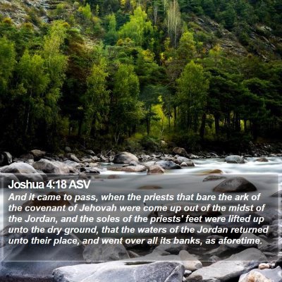 Joshua 4:18 ASV Bible Verse Image