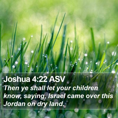 Joshua 4:22 ASV Bible Verse Image