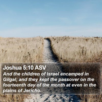 Joshua 5:10 ASV Bible Verse Image