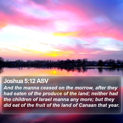 Joshua 5:12 ASV Bible Verse Image