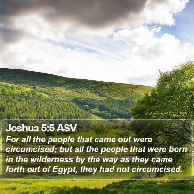 Joshua 5:5 ASV Bible Verse Image