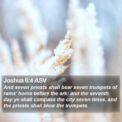 Joshua 6:4 ASV Bible Verse Image