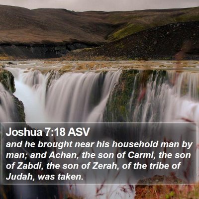 Joshua 7:18 ASV Bible Verse Image