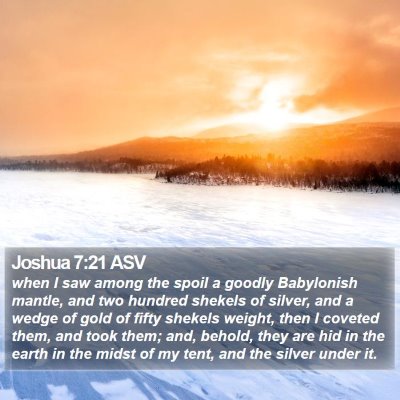 Joshua 7:21 ASV Bible Verse Image